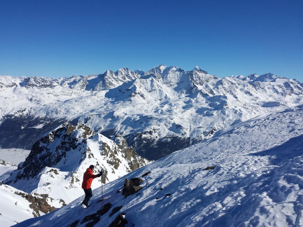 Il Gallo parte verso la cresta per gustarsi anche lui il panorama verso St. Moritz Il Gallo parte verso la cresta per gustarsi anche lui il panorama verso St. Moritz