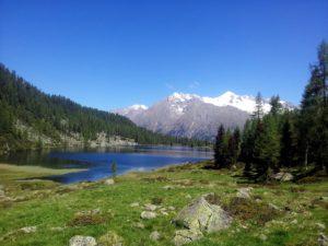 A spasso per il Parco Naturale Adamello Brenta