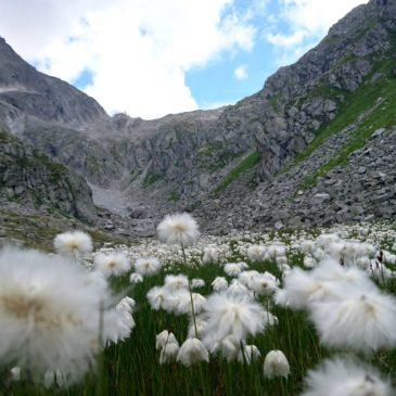 A spasso per la Val Nambrone