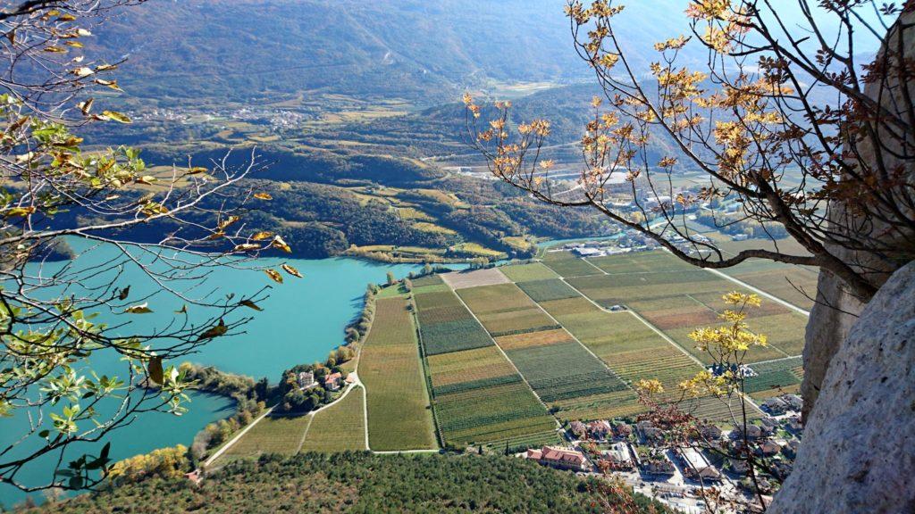 altra vista, stavolta della zona delle vigne a pochi metri dalle sponde del lago.Qui se non ricordo male fanno il Bardolino