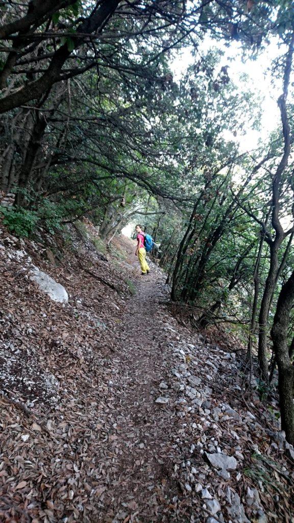 ultimi "tunnel" boschivi e nel giro di breve saremo al parcheggio.