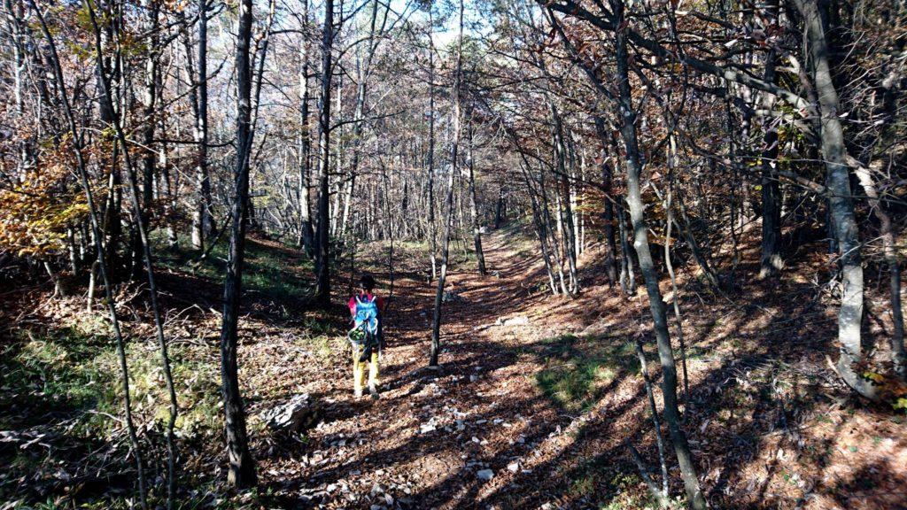 la discesa sarà in un bellissimo bosco che conduce ad una frazione.Da lì poi, una mulattiera mista a sentiero scosceso riportano verso Sarche