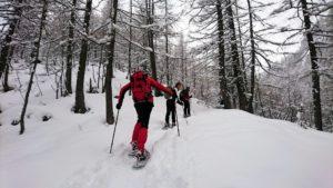 Tutti in fila indiana chiacchierando allegramente e godendoci il boschetto
