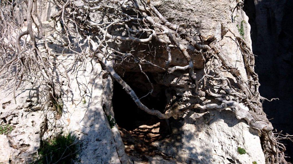 Una delle mille grotte trovate lungo il nostro tragitto, proprio accanto alla grotta dell'Edera