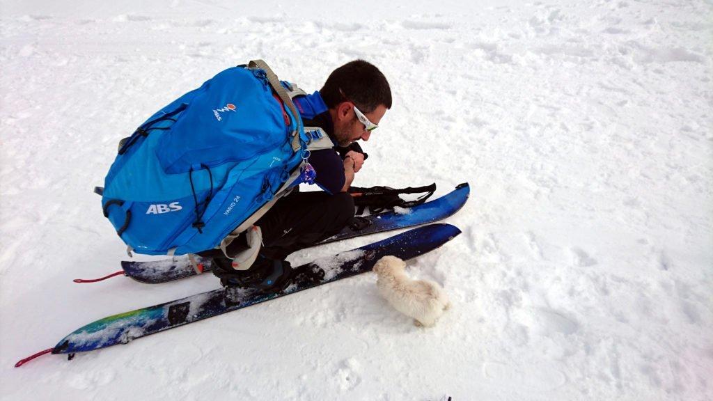 Batuffolo di pelo incuriosito dalla splitboard del Gallo!