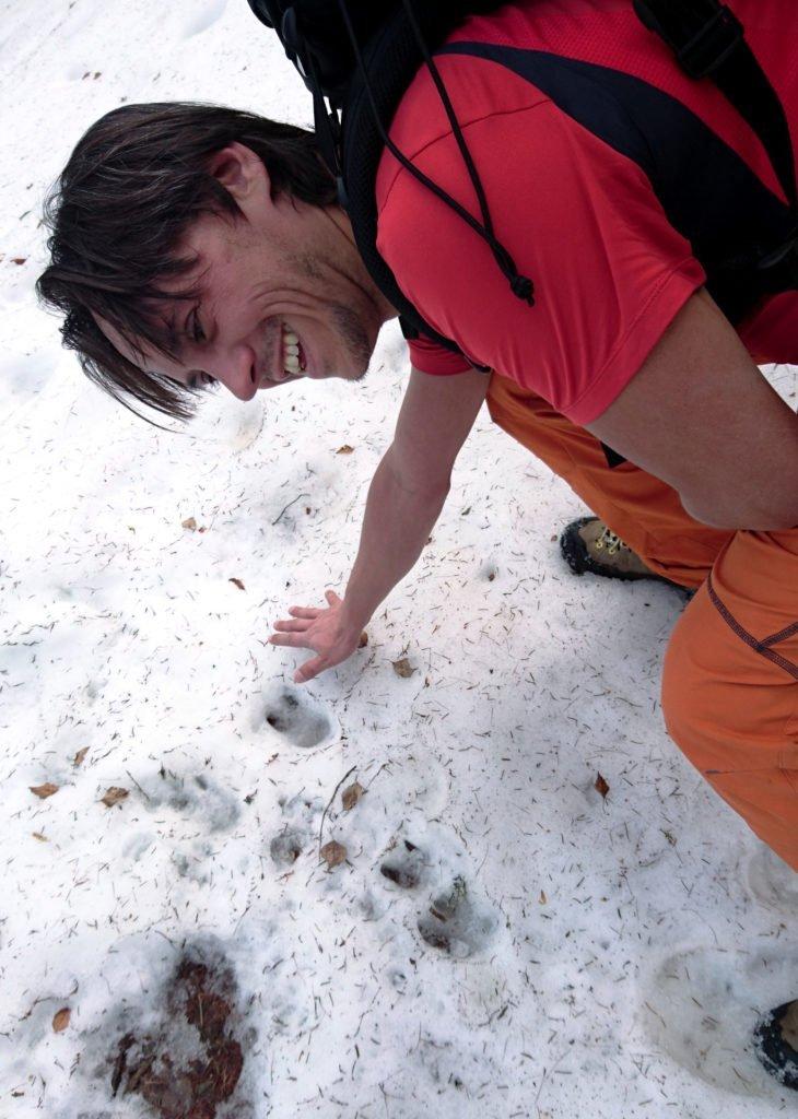 lungo il sentiero incontriamo parecchie orme nella neve