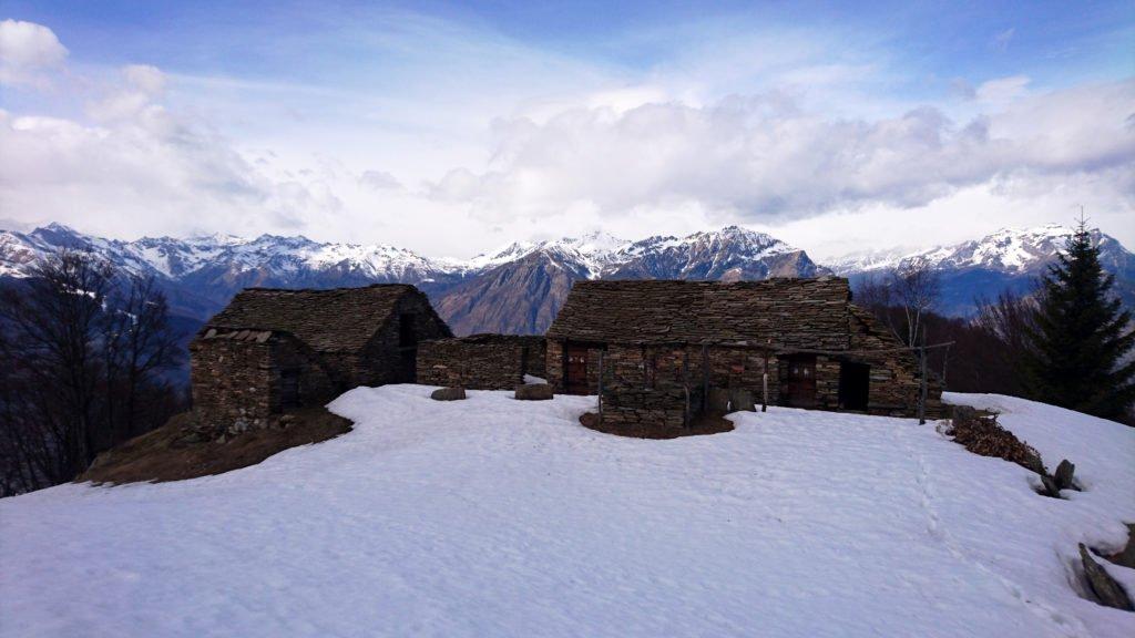 l’Alpe Drisoni e sullo sfondo le montagne dell’alta Val D’Ossola, a nord-ovest