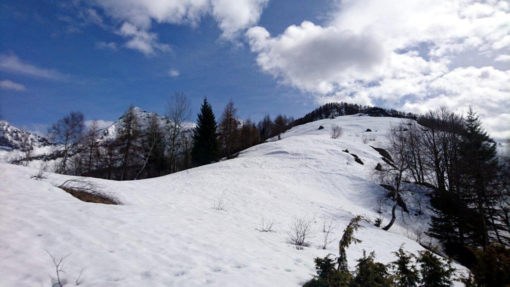 da qui il sentiero (sommerso dalla neve) prosegue in cresta fino all’Alpe Nava: si sprofonda fino alla vita nella neve-pappa, il percorso è tutto da tracciare e noi siamo decisamente indietro sulla tabella di marcia, oltre che già molto stanchi