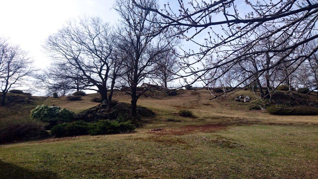 i giardini dell’Alpe attorno all’eremo: qualcuno qui deve dedicare molto tempo alla manutenzione perché non c’è una foglia fuori posto. Da tornare con i rododendri in fiore.