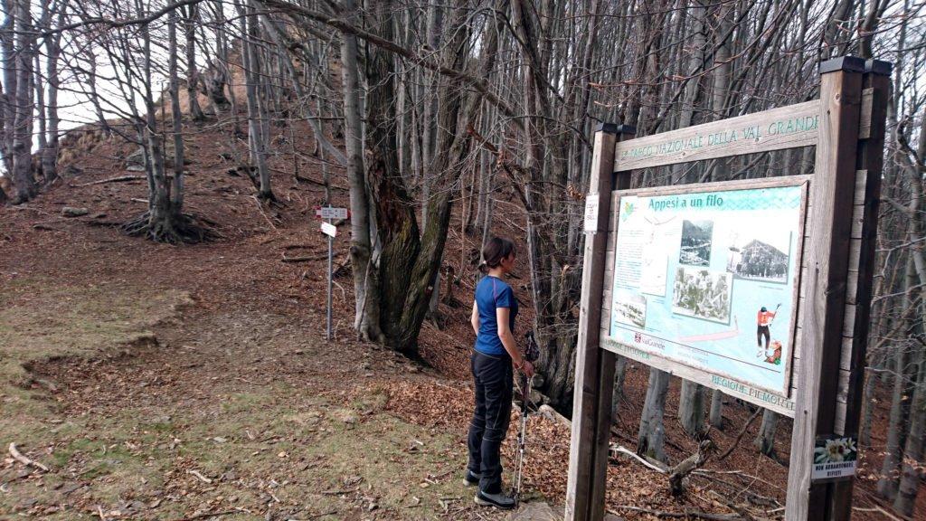 dalla Colma si hanno diverse alternative: si può entrare in Val Grande verso il ponte di Velina e Corte Buè, proseguire in cresta verso Cima Corte Lorenzo, oppure proseguire in cresta dalla parte opposta verso il Monte Faje’ e l’Alpe Ompio. Quest’ultima è la strada che sceglieremo noi, e che ci consentirà di chiudere l’anello a Bracchio, dove abbiamo la macchina.