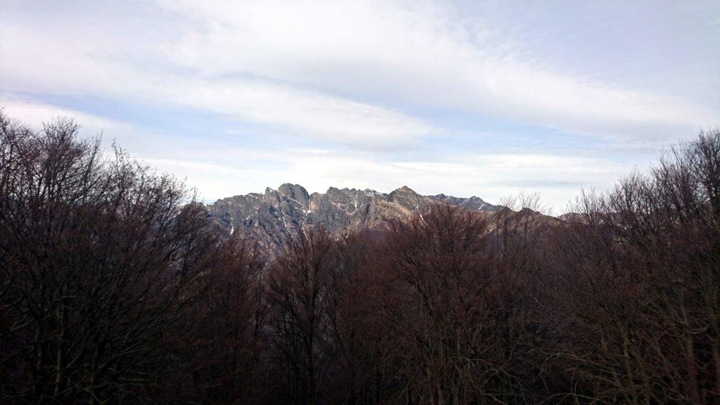 dalla cima del Fajè si vede bene il Pedum e la cresta che lo lega alla Laurasca (ancora innevata), oltre che la Cima Sasso (che invece abbiamo già salito anni fa: https://www.inmontagna.blog/cima-sasso-val-grande/)