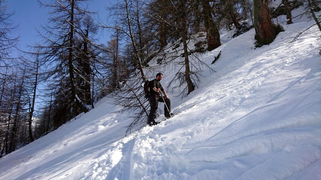 Si parte dritti per dritti su per il boschetto. Pendenze interessanti all'inizio. Poi molla un po'. Qui il Niggah alla prima virata