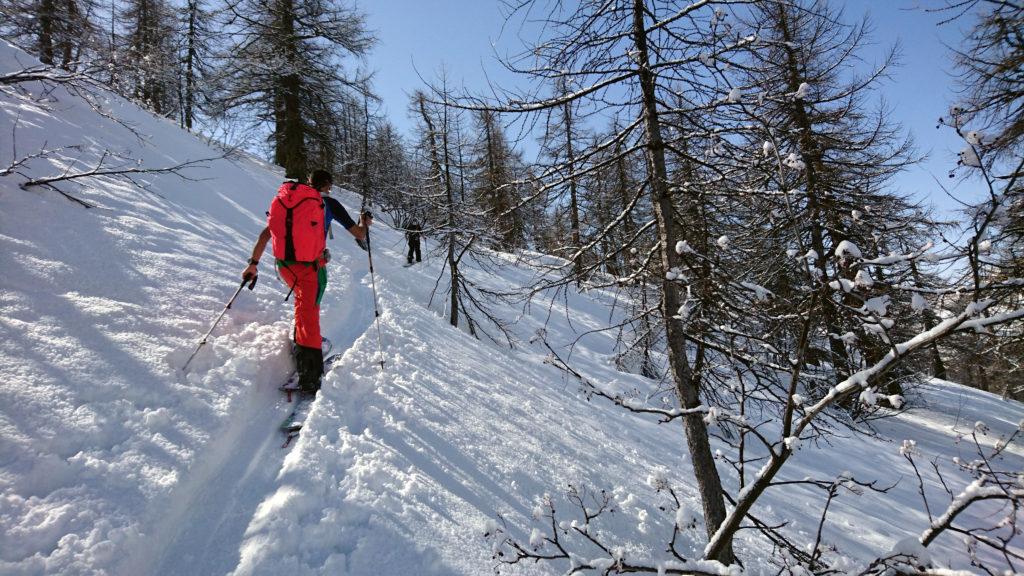 In breve, si prosegue con lunghe S nel bosco senza più pendenze estreme