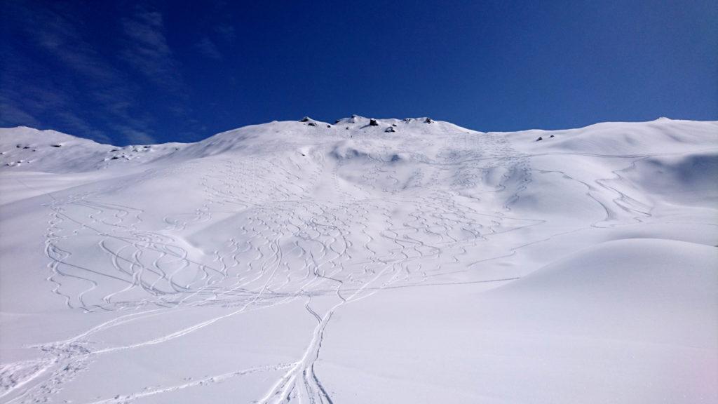 Lo spettacolare pendio finale appena disceso, con tutte le sbisciule degli scialpinisti che ne hanno potuto godere il manto