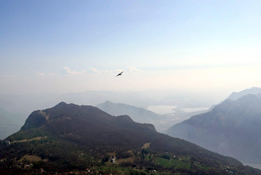 Intanto un gracchio alpino danza nell'aria di fronte a noi