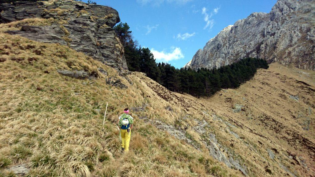 Qui bisogna prendere una traccia di sentiero che procede in costa verso sinistra tagliando il fronte della montagna