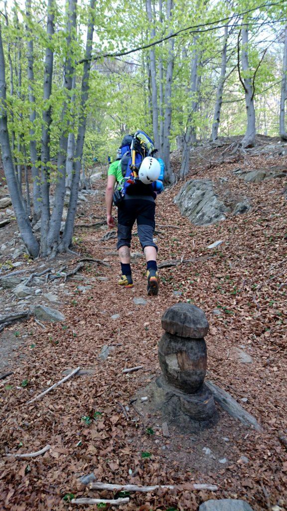 Fungo intagliato nel legno lungo il sentiero nel bosco