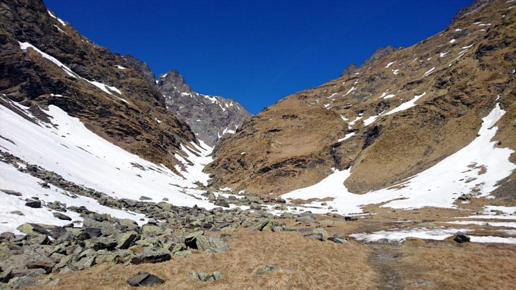 La piana tra il rifugio Coca e la conca dei giganti che si raggiunge dalla lingua di neve in foto