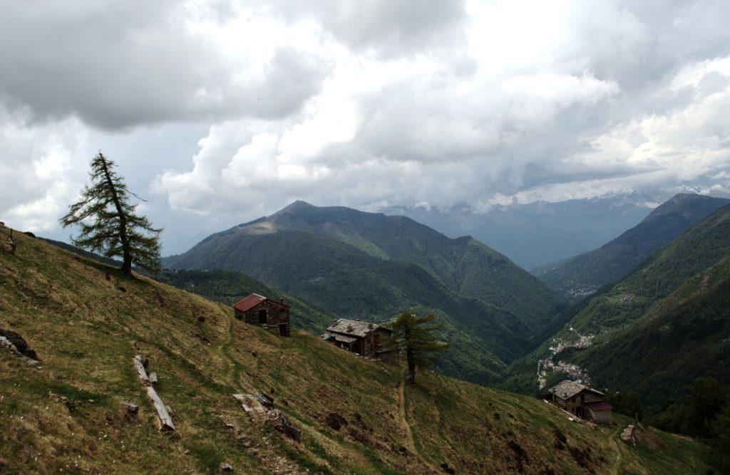 scendendo di nuovo verso l'Alpe Chiarino becchiamo le prime gocce d'acqua che presto diventeranno una pioggerellina per nulla fastidiosa