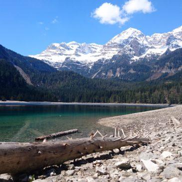 Dal Lago di Tovel alla Malga Pozzol