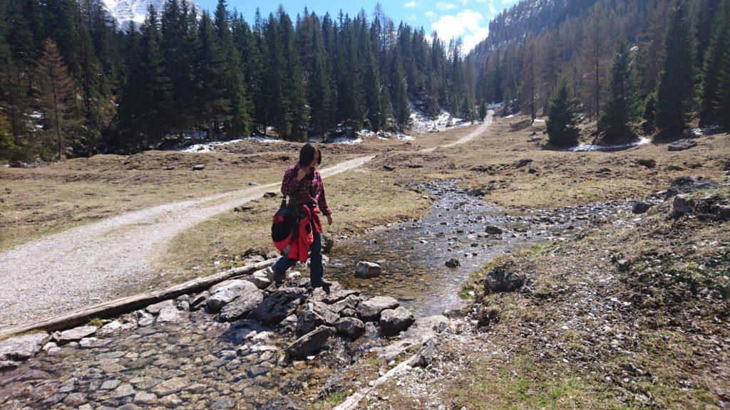 Decidiamo di andare verso la malga Pozzol che sta a pochi km dal lago di Tovel