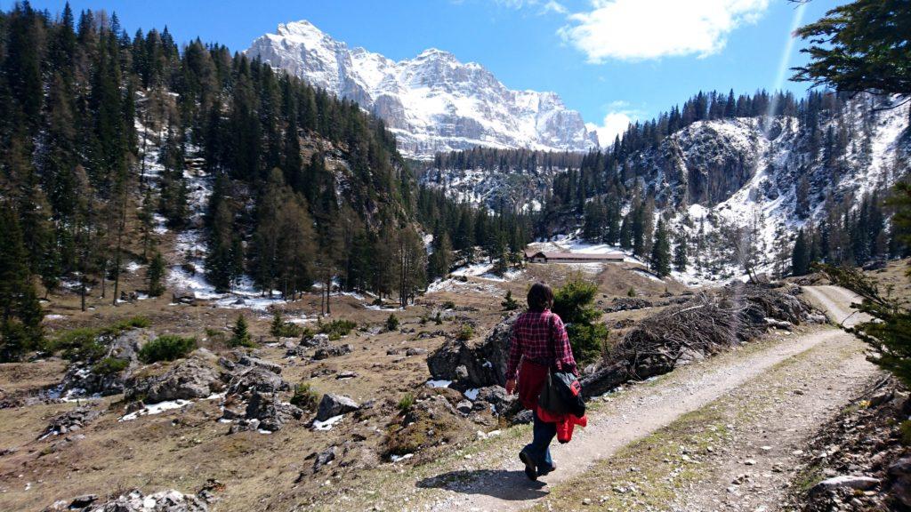 Eccoci nel bel pascolo che conduce alla malga Pozzol (sullo sfondo). Luogo incantevole