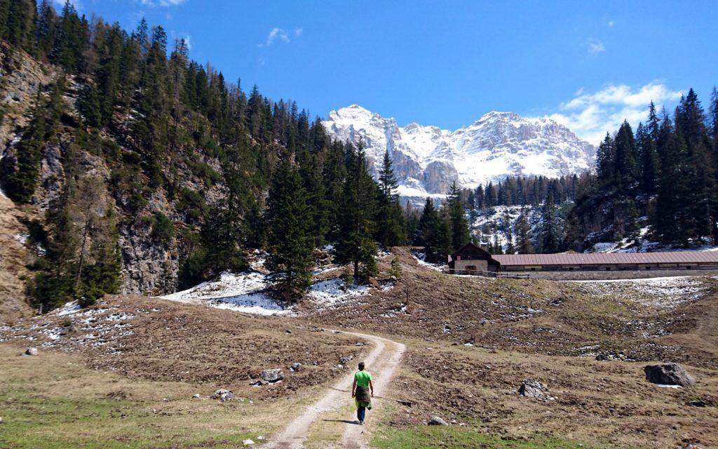 in arrivo alla malga Pozzol