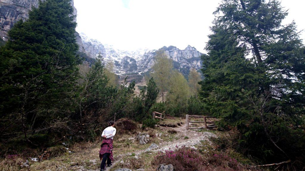 Il sentiero sale poi sul versante opposto della valle rispetto alla strada fino a raggiungere un bellissimo alpeggio