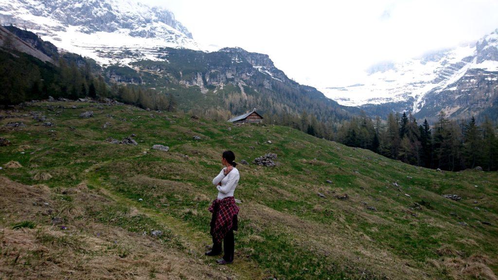 Erica e la malga vista dal pratone dove in estate pascolano le mucche