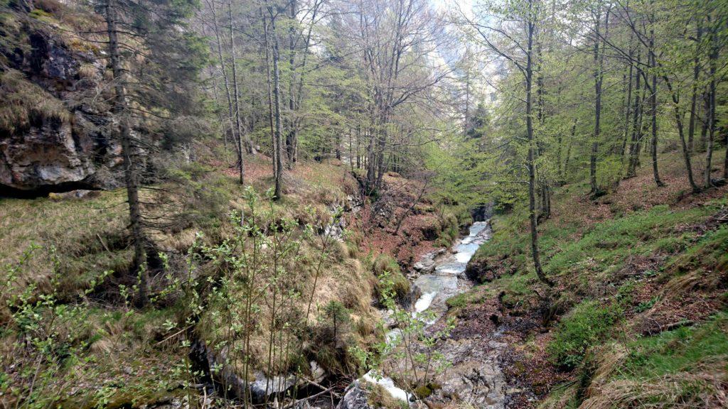 Il torrente in questo pezzo fa tanti piccoli saltini in altrettante pozze che d&#039;estate devono essere uno sballo per fare il bagnetto