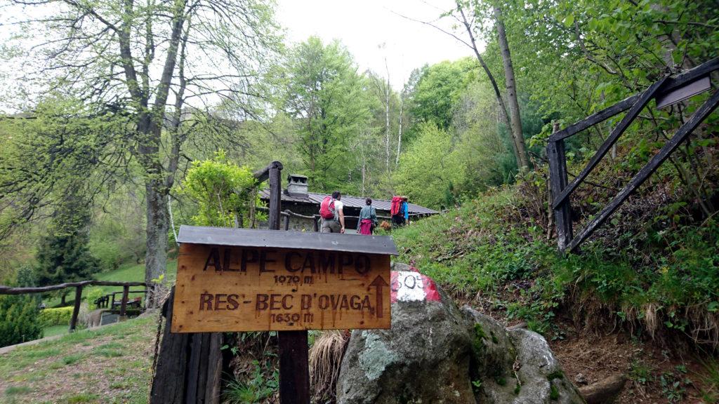 Via che si parte! All'inizio si segue la strada sterrata ma giunti all'alpe Campo si inizia a salire per un bel sentiero nel bosco