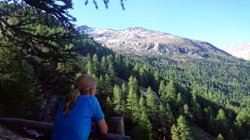 Ci avviciniamo al termine del bosco. Due minuti di riposo in un punto dove gli alberi si diradano un po'