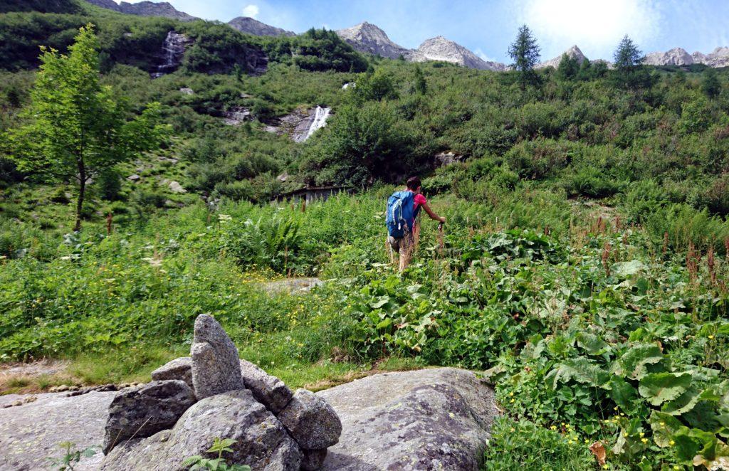 Qui siamo vicini al luogo della perdizione. Si intravede nella vegetazione la seconda casetta di pietra. Per il proseguo, leggere la relazione!!!