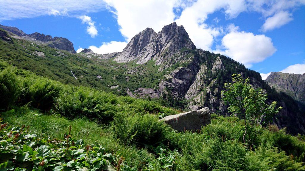 Siamo ormai fuori dai casini e possiamo gustarci la punta Medaccio e la punta Fiorelli con un po' più di relax