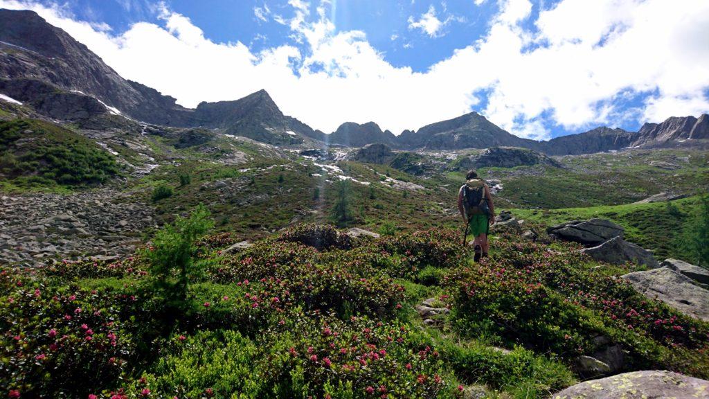 Risalendo verso la bocchetta di Medaccio, sembra di stare nel paradiso terrestre. Tutto troppo bello