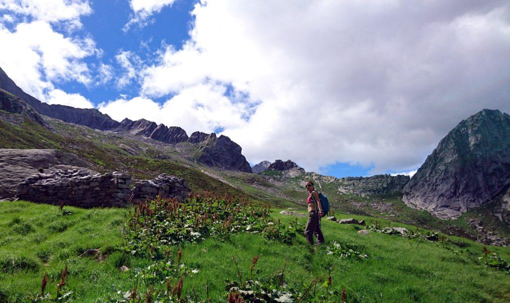 Erica con ormai la bocchetta sullo sfondo. Ma di metri ne mancano ancora un po'