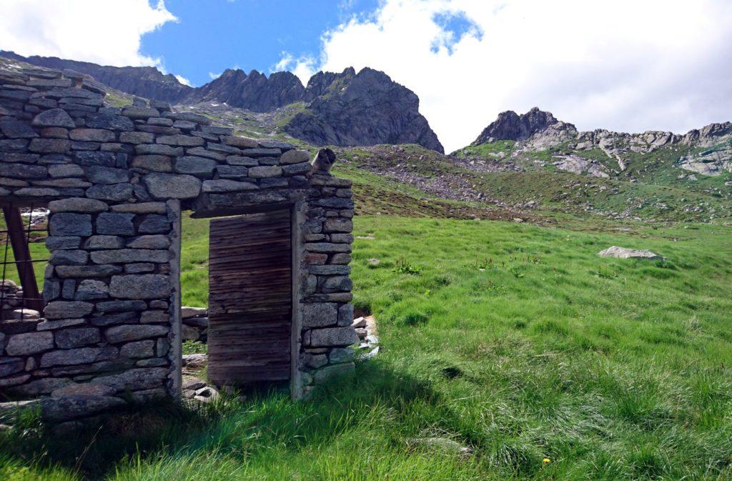 ultima baita (o ciò che ne resta) prima della bocchetta di Medaccio. La porta ha resistito....e garantisce una bella foto ;)