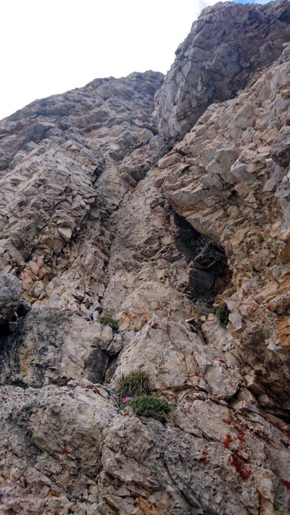 Ottavo tiro. Altro diedro, un po&#039; più facile. Noi però l&#039;abbiamo complicato salendo poi dritti da uno strapiombo quando bastava aggirare a destra per rocce più facili. E vabbè....così è stato più bello
