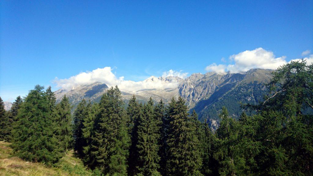 Vista verso la Presanella dal versante della val Nardis