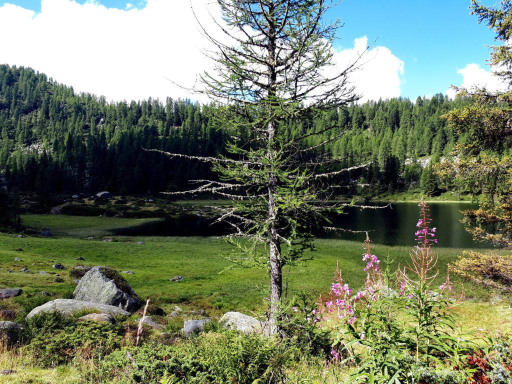 Uno dei bellissimi scorci di questo piccolo angolo di paradiso