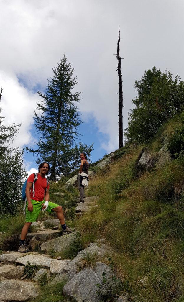 io, Erica e un povero albero colpito da un fulmine