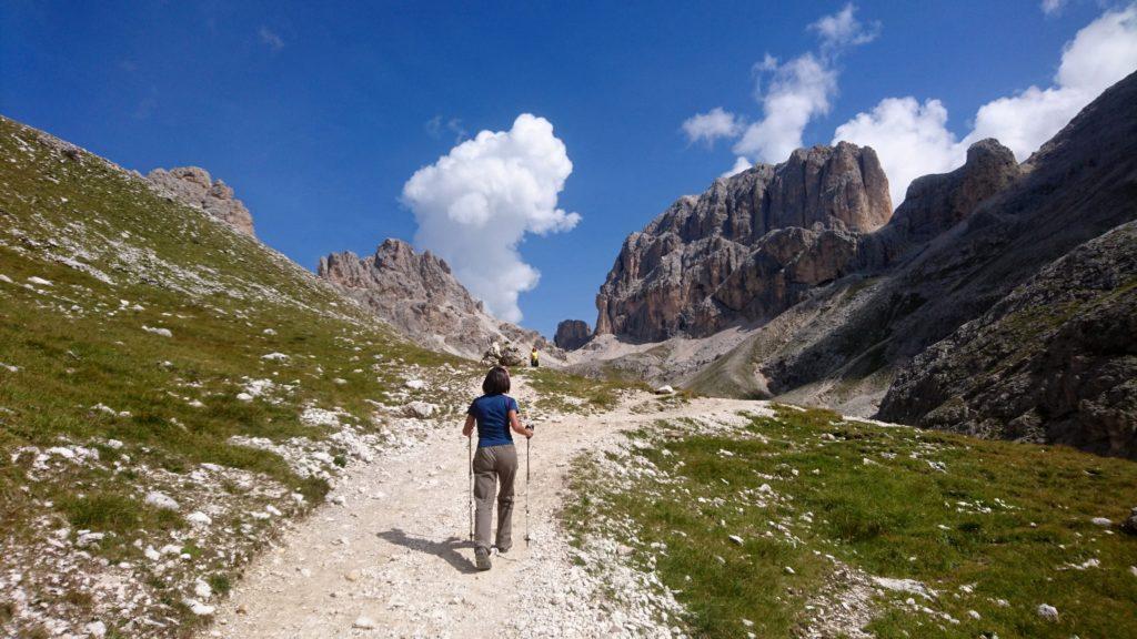 Erica sul sentiero verso Passo Principe, con i gruppi montuosi che piano piano si avvicinano