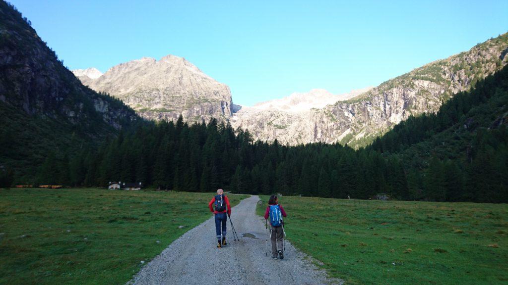 Da qui si parte e qui si ritorna, la piana della Malga Bedole, regno incontrastato delle muuuucche