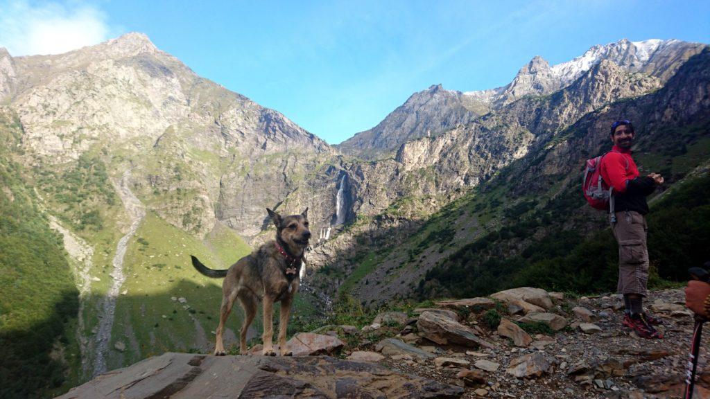 Questo cagnino si mette in posa quando gli chiedo di fare una foto con le cascate. Grande!!