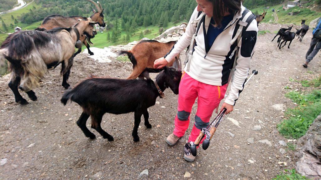 qualche carezza a questo cucciolo non glie la vogliamo fare?!