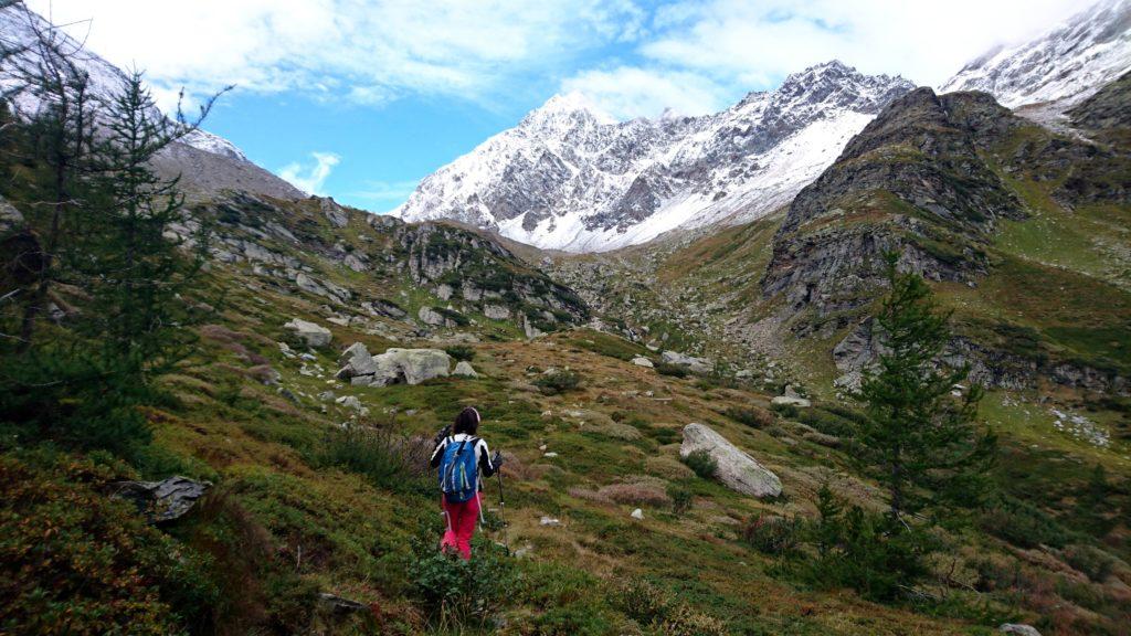 superato il boschetto di mirtilli la valle torna ad allargarsi e le pendenze si fanno meno marcate