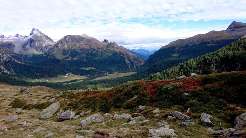 i colori incredibili della valle, sullo sfondo i pianori dell'Alpe Veglia