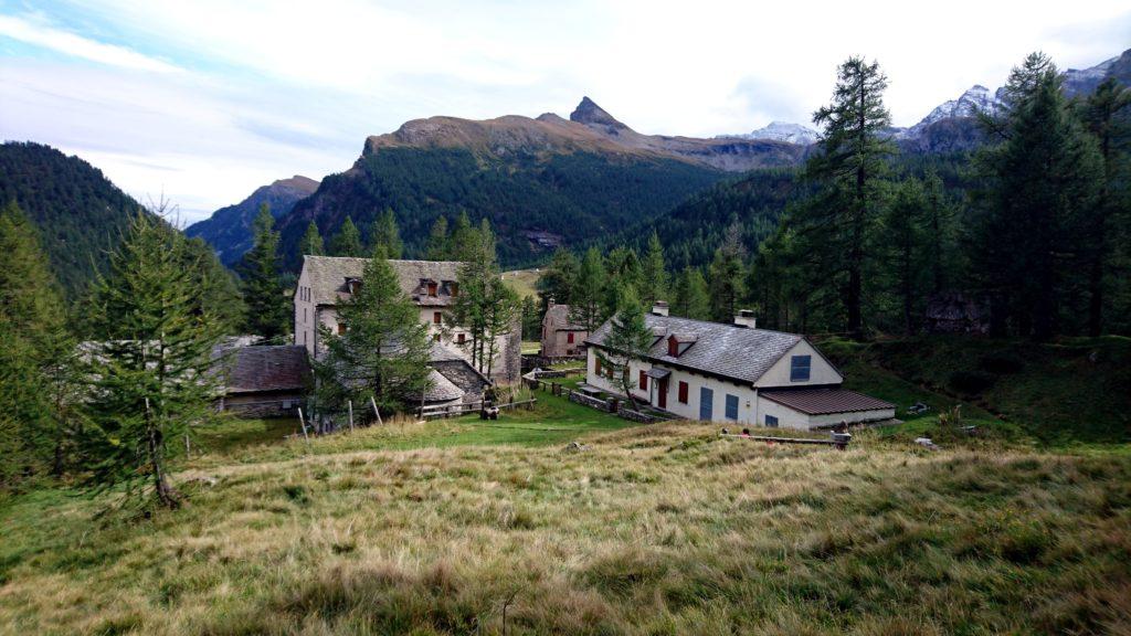 siamo ormai ridiscesi all'alpe