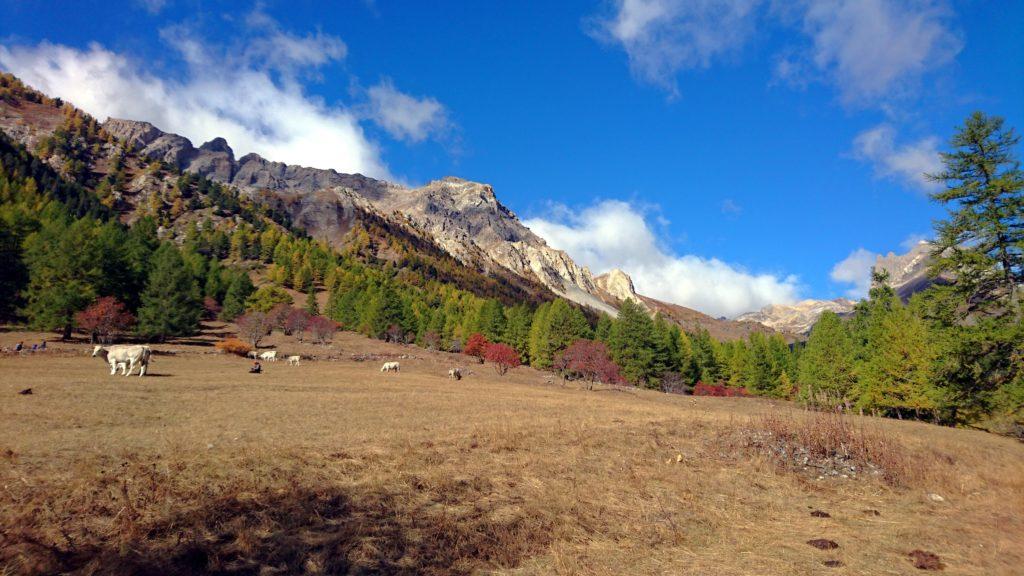 begli scorci autunnali dai pascoli della valle Stretta