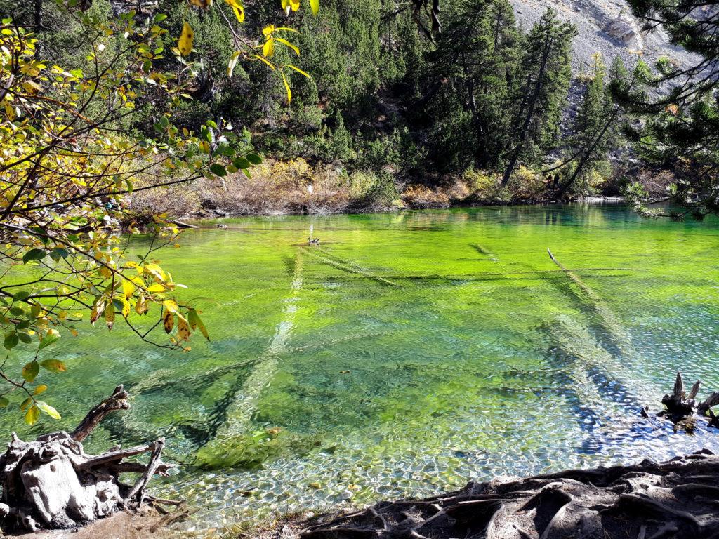 se non altro non ci sono dubbi sul perché si chiami lago Verde.....sembra un acquarello!!